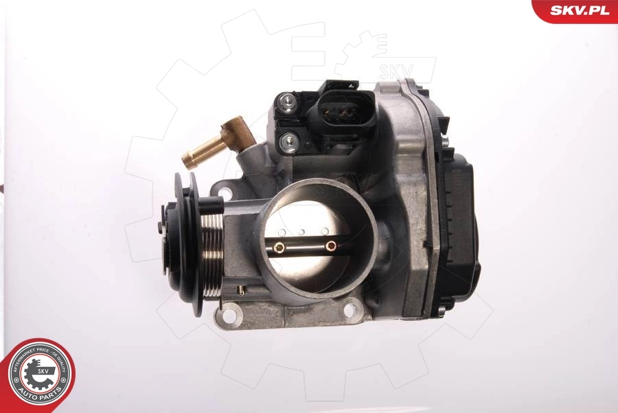 Throttle Body